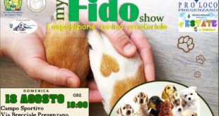 PRESENZANO – ESPOSIZIONE CANINA AMATORIALE 18 AGOSTO CAMPO SPORTIVO