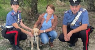 SESSA AURUNCA – I CARABINIERI RITROVANO ZULY, BAMBINE COMMOSSE E FELICI