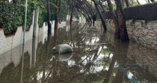 CELLOLE – Baia Domizia Sud: da Bandiera Blu a Laguna blu, basta un temporale